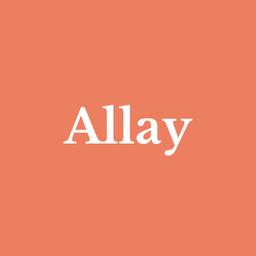 The Allay Team